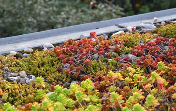 the cost of Thoroton green roof installation