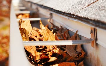Thoroton gutter cleaning companies