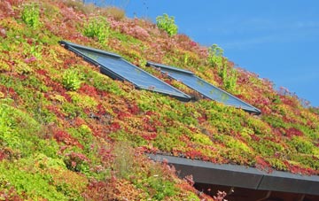 Thoroton living roof systems